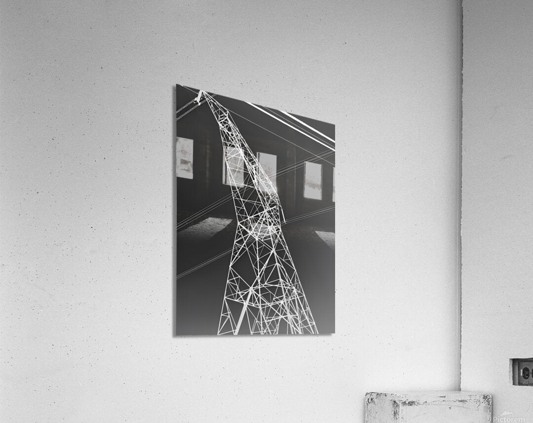 Acrylic Print