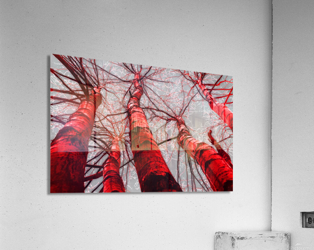 Acrylic Print