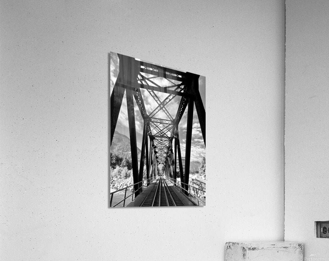 Acrylic Print