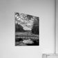 Acrylic Print