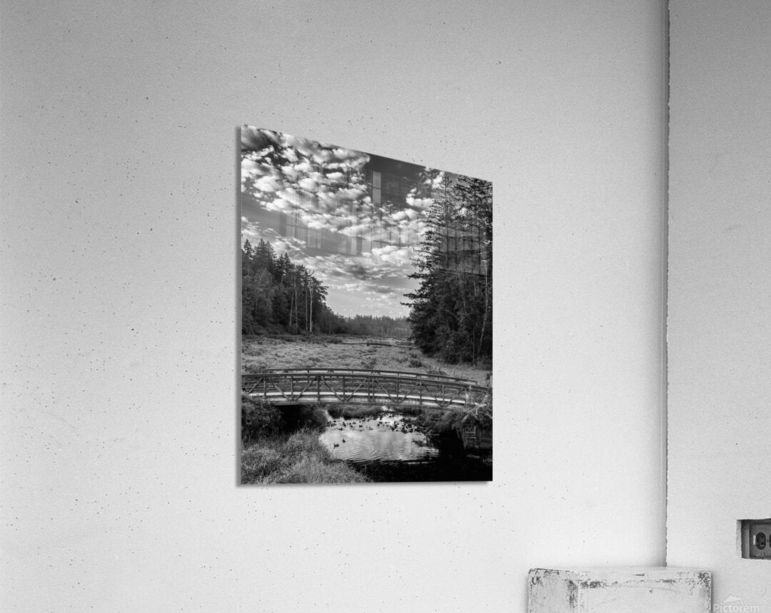 Acrylic Print