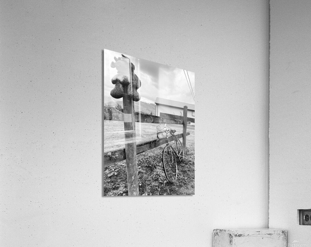 Acrylic Print