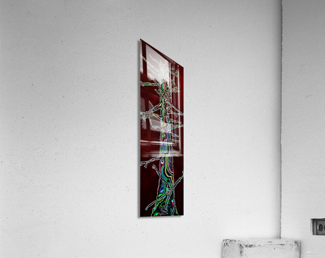 Acrylic Print