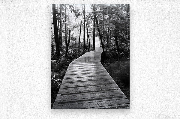 Brushed Metal Print