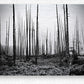 Brushed Metal Print