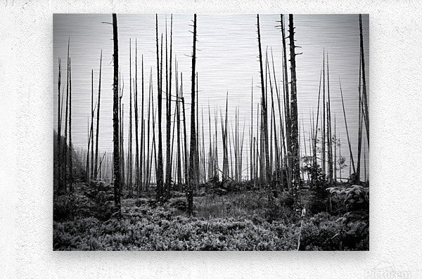 Brushed Metal Print
