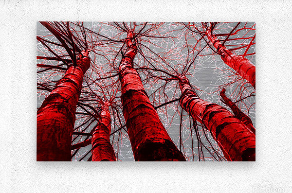 Brushed Metal Print