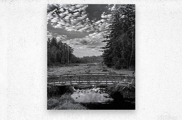 Brushed Metal Print