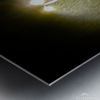 Brushed Metal Print
