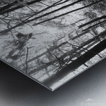 Brushed Metal Print