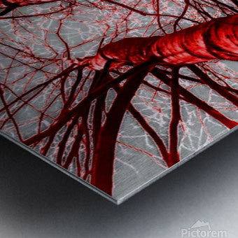 Brushed Metal Print