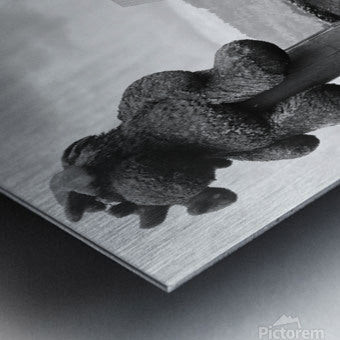 Brushed Metal Print