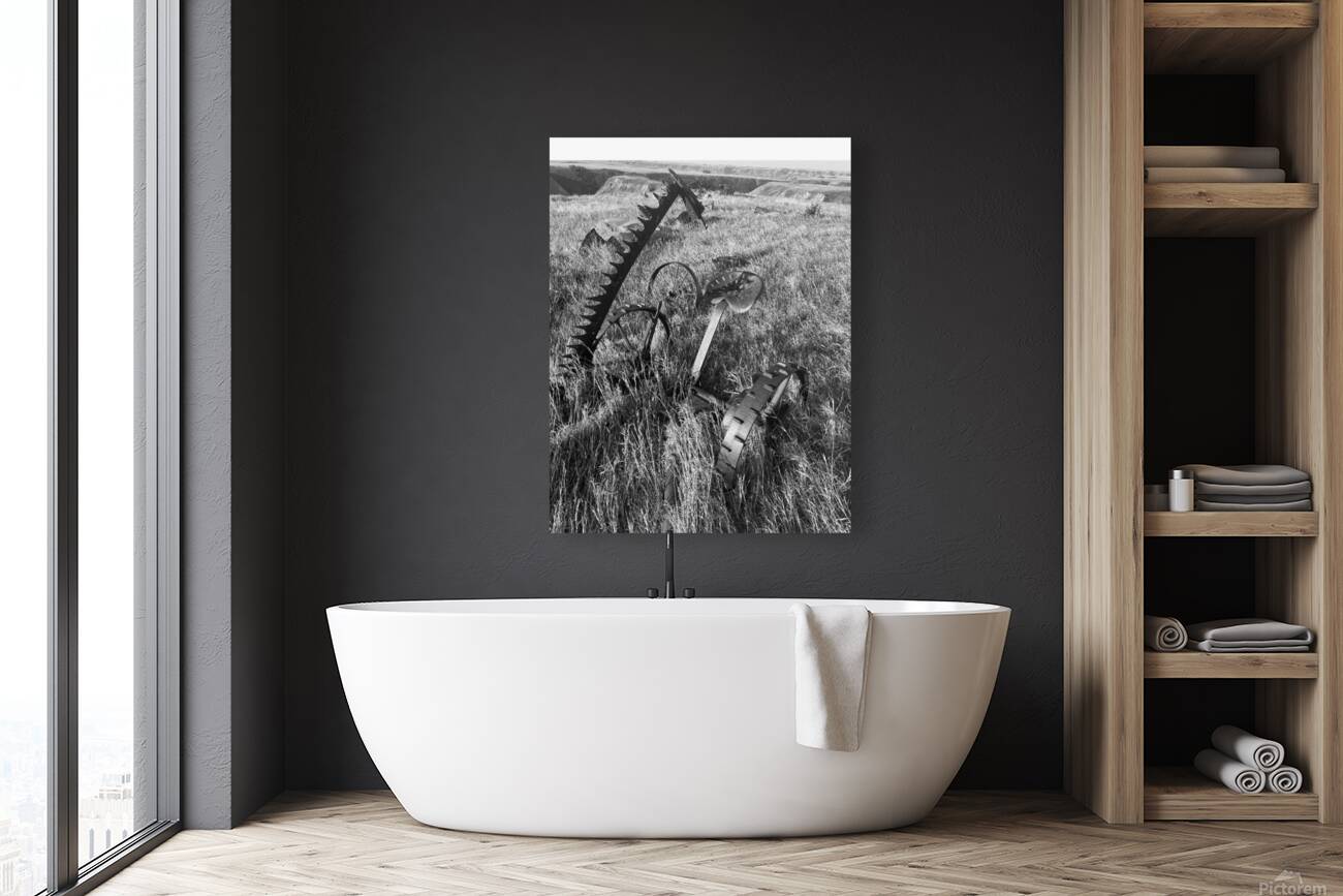 Giclée Stretched Canvas Print