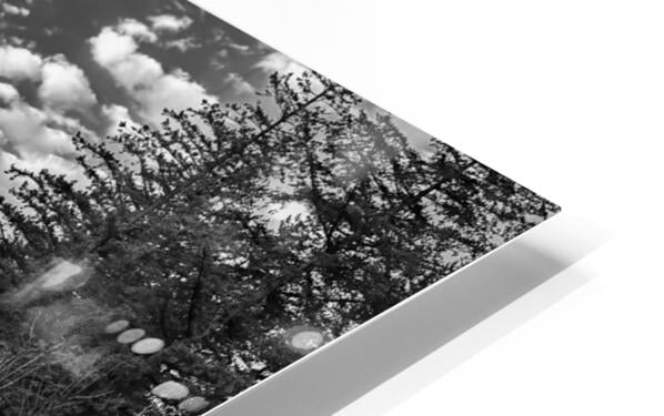 HD Sublimation Metal Print