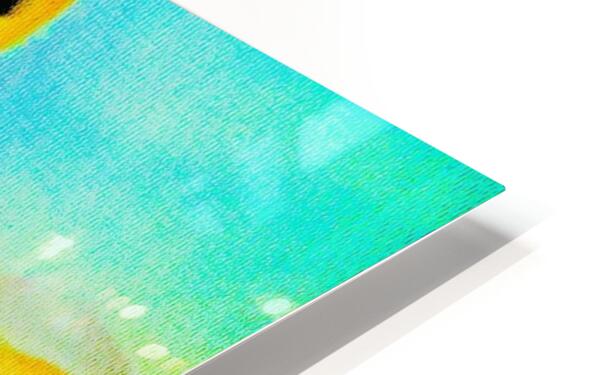 HD Sublimation Metal Print