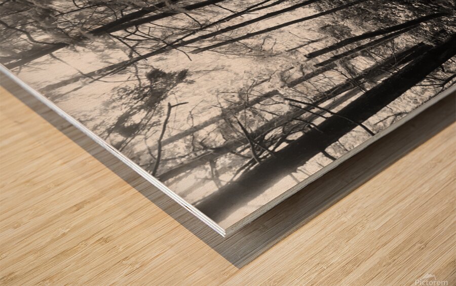 Wood Print