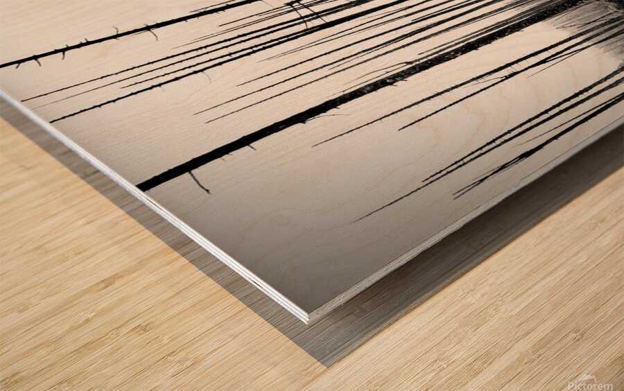 Wood Print