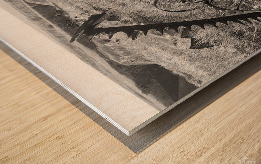 Wood Print