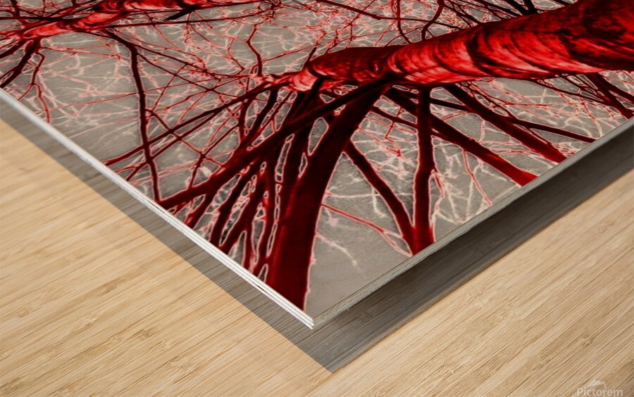 Wood Print