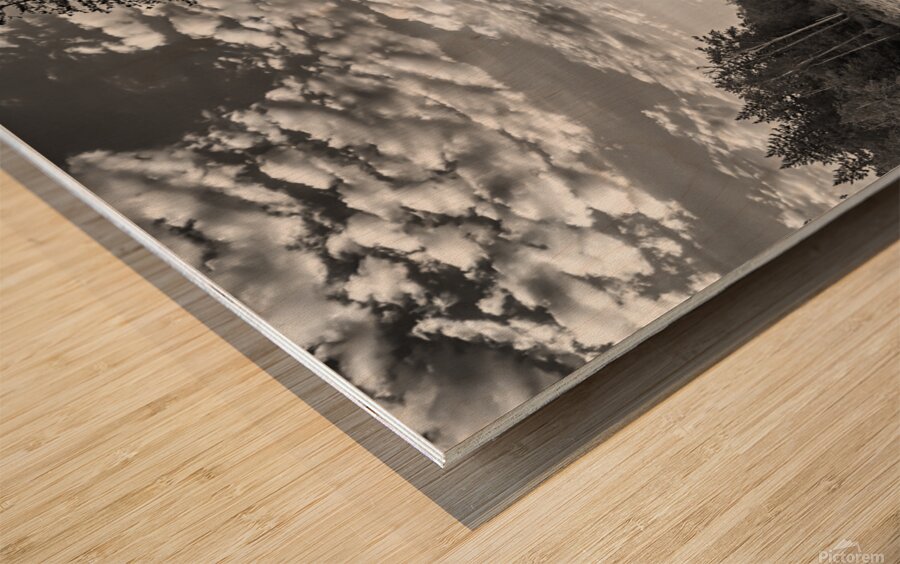 Wood Print