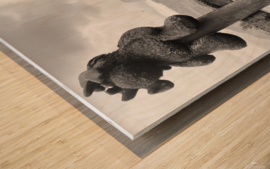 Wood Print