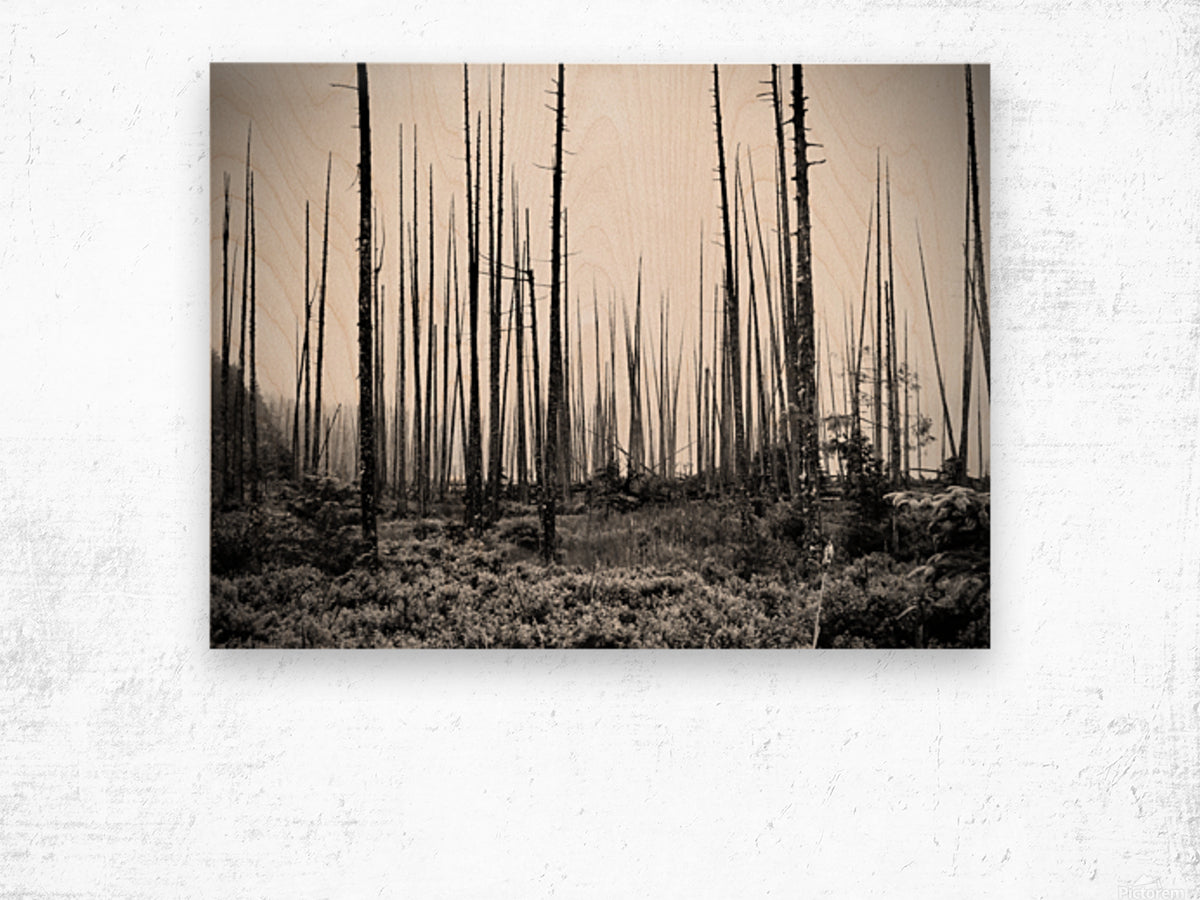 Wood Print