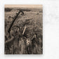 Wood Print