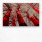 Wood Print