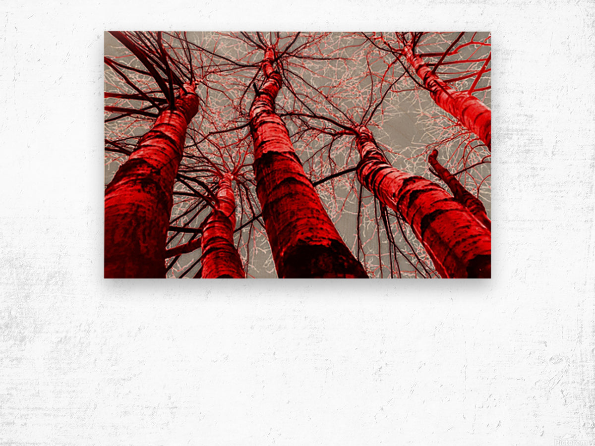 Wood Print