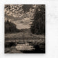 Wood Print